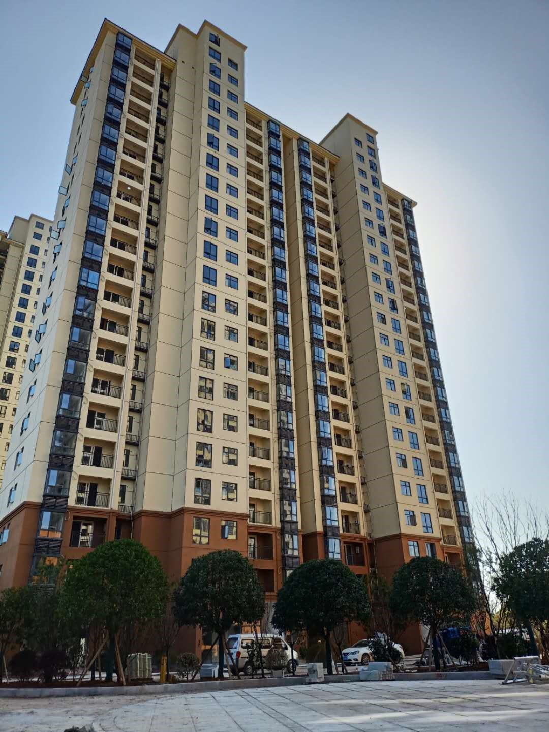 1605197068733723.jpg 11.jpg